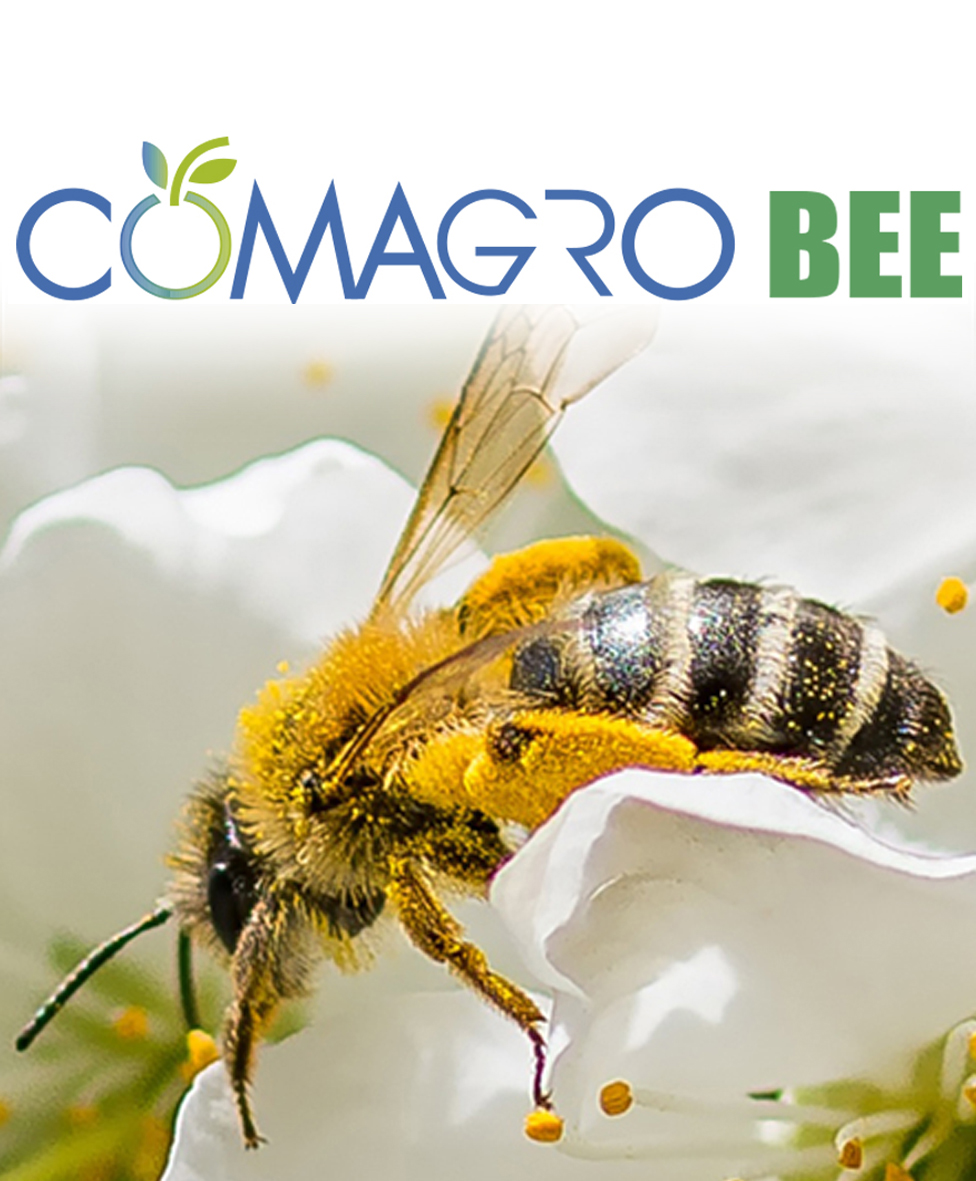 COMAGRO-BEE COD: E-001